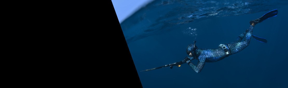 Spear Fishing